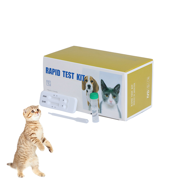 Prueba combinada de anticuerpos Ehrlichia / Anaplasma para animales mascotas - Prueba rápida