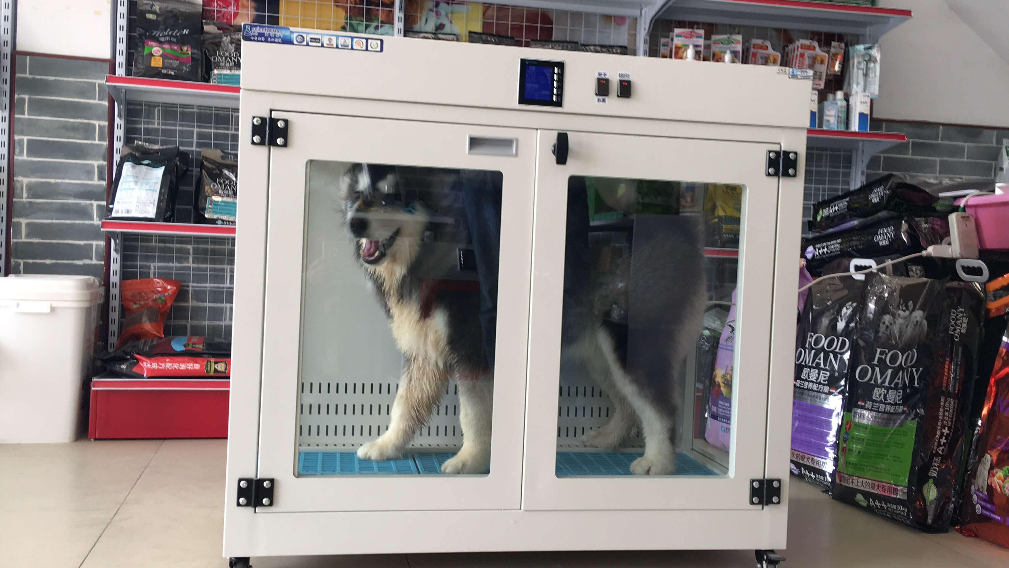 Secador de mascotas completamente automático Gabinete de secado para perros y gatos Máquina secadora de pelo para mascotas Secador de mascotas automático