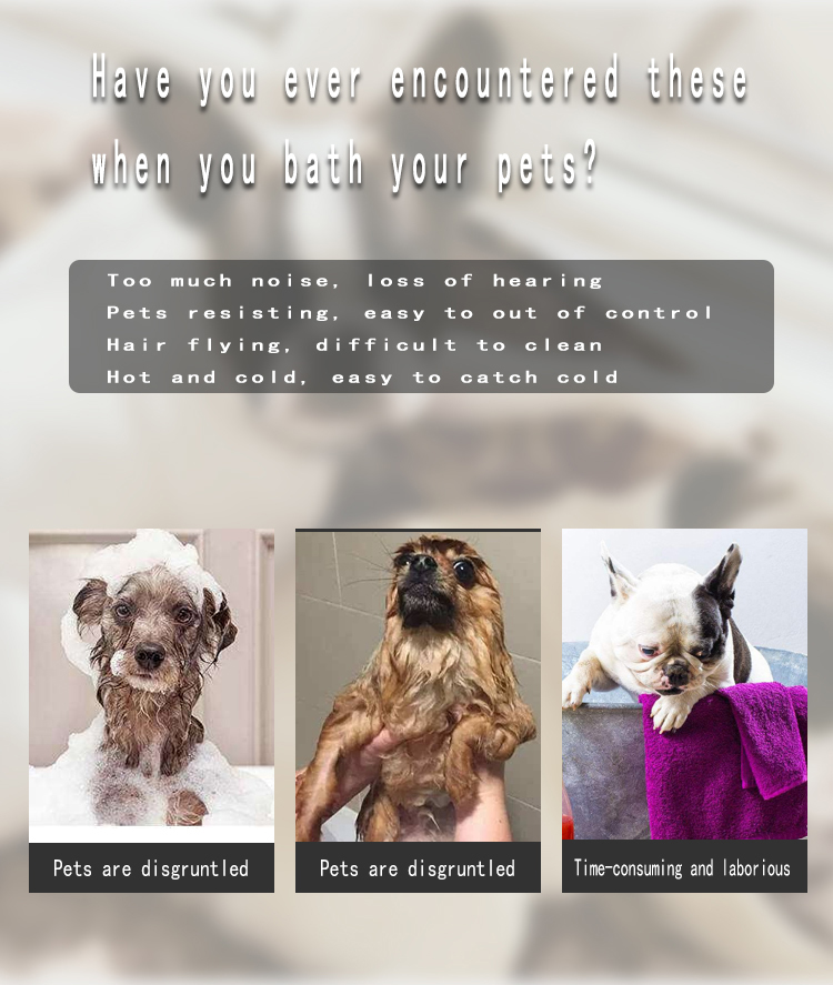 Secador de mascotas completamente automático Gabinete de secado para perros y gatos Máquina secadora de pelo para mascotas Secador de mascotas automático