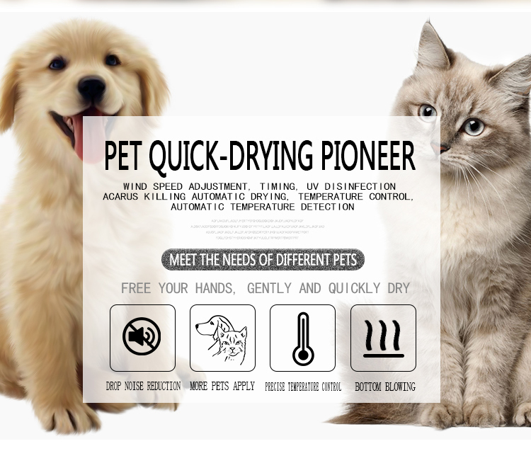 Secador de mascotas completamente automático Gabinete de secado para perros y gatos Máquina secadora de pelo para mascotas Secador de mascotas automático